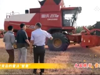 央媒解密三夏“快跑”密码 潍柴雷沃引领三夏 “智变”
