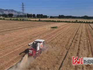 石家庄市鹿泉区：夏收夏播同步推进 良种良法确保丰收