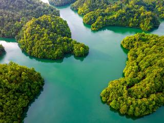 【高清组图】贵州毕节：百里杜鹃湖 绿水青山美