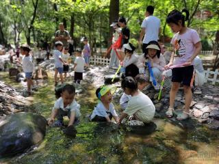 夏日乐悠悠 水上享清凉