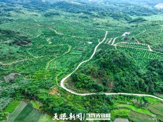 走进中国乡村旅游1号公路｜黎平县皮林村：千亩凤柚借路 “出山”