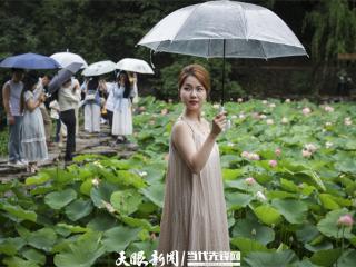 荷花满池引客来！贵阳药用植物园藏着夏日浪漫