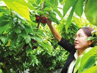 夏日瓜果香 田间享惬意——走进小店区乐享采摘季