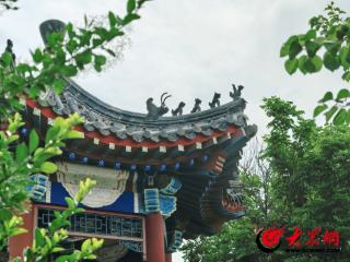 组图丨忽闻盛夏始 满城绿意浓