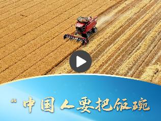 一习话｜“中国人要把饭碗端在自己手里”