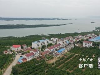十堰科学治沙护水脉 绿色产业富乡村
