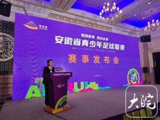 ﻿首届安徽省青少年足球联赛将于9月开赛 拟邀请赵鹏为先导赛开球