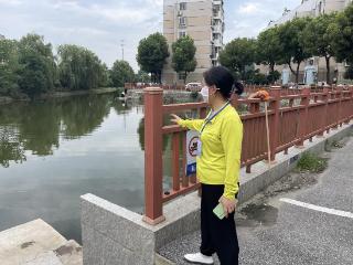 河道防汛勤巡查，公众委员显风采