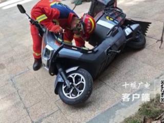 毒蛇藏匿电动车 十堰消防抓捕消隐患