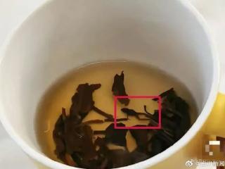 市监部门回应“奈雪的茶喝出青蛙”：双方已和解，正在溯源