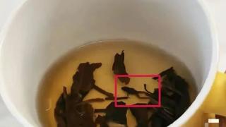 市监部门回应“奈雪的茶喝出青蛙”：双方已和解，正在溯源