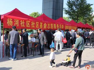枣庄市市中区垎塔埠街道杨河社区：深耕文化沃土 绘就社区文明新画卷