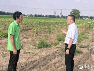 东明农商银行营业部5万元贷款助力种植户推动玉米良好生长