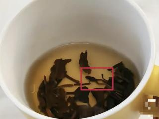 奈雪的茶被曝冲泡出青蛙尸体，市场监督管理局介入调查