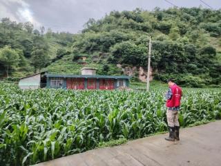 人保财险毕节分公司：暴雨致农田受灾 保险理赔与防灾宣传并行
