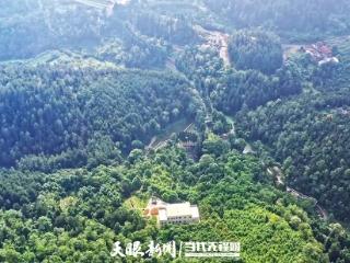 生态“常青树”蝶变富民“幸福树”！贵定森林覆盖率13年从46%攀升至66%