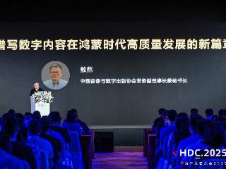 中国音数协常务副理事长兼秘书长敖然在HDC 2025内容分发论坛上的致辞