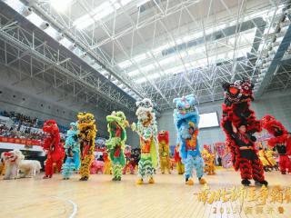 五省龙狮微山共舞运河文化,“狮舞齐鲁”南北狮王争霸赛举行