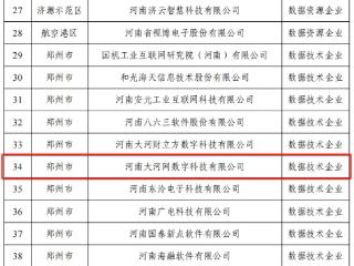 喜讯！大河网上榜河南省首批数据企业名单