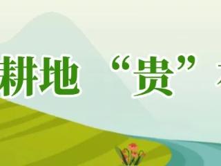 一图全览！农村宅基地用地建房申请审批流程详解