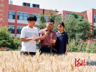 河北唐山：打造劳动育人新体系 让广大学生上好劳动课