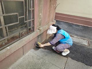 济南市莱芜区凤城街道顺河社区：投放鼠药在行动 除害防病保健康