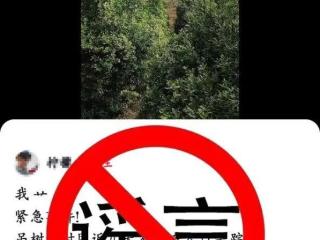 编造“发现两具尸体”虚假信息，网警依法查处