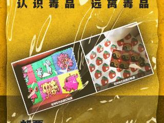 【国际禁毒日】禁毒档案：别让网络“高薪”陷阱吞噬人生