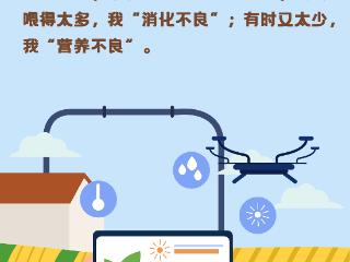 全国土地日丨土壤不土气 全是高科技