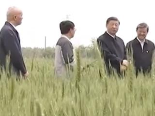 时习之丨采取“长牙齿”的硬措施保护耕地