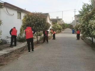 美丽村居 绿映凤凰|谢家庄村：党建引领绘新景 人居环境焕新颜（一）