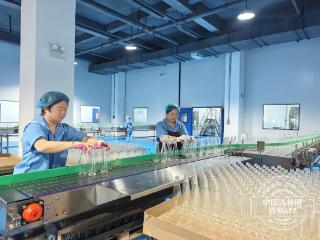 谋发展 抓项目 开新局｜白山市：项目建设涌热浪