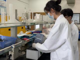 如何吃出健康？杭州一本科生团队打破膳食纤维高值化利用技术瓶颈
