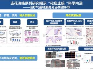 专家观点｜治疗呼吸道疾病咳嗽咳痰 中医药清肺化痰止咳显优势