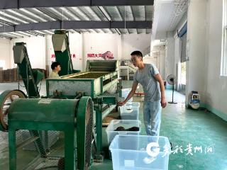 珠遵协作助力道真茶产业发展