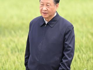 学习新语｜“耕地是粮食生产的命根子”