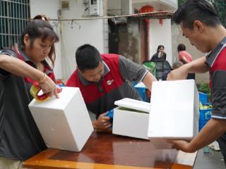 一端连乡土 一端通世界 圆通双轮驱动赋能经济新篇