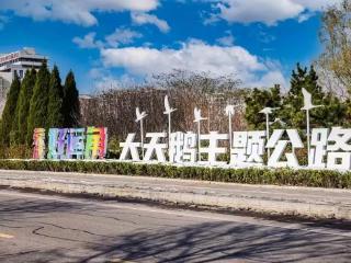 那香海·2025荣成好运角半程马拉松新闻发布会圆满举行