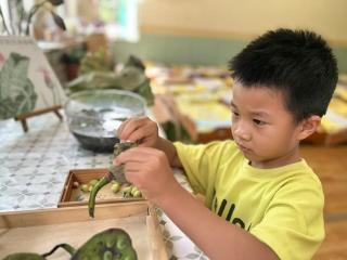 淄博市淄川区实验幼儿园开展“解锁莲蓬里的秘密”主题活动