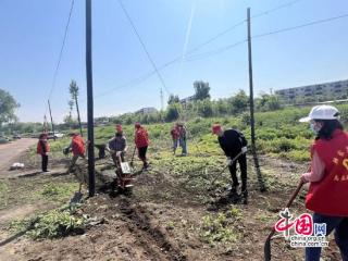 辽宁阜新：以民生温度激活乡村善治密码(图)