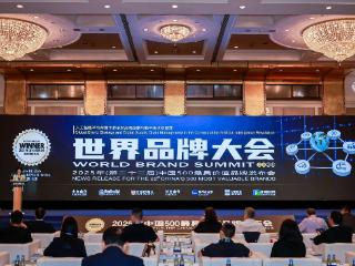 84.15亿！完美公司玛丽艳品牌荣登2025年“中国500最具价值品牌”