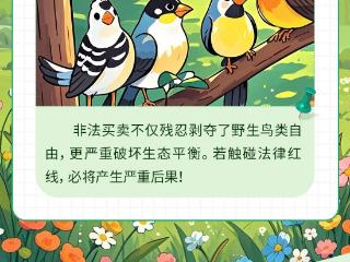 一图读懂|守护蓝天精灵，别让鸟笼变囚笼，这些鸟类严禁交易