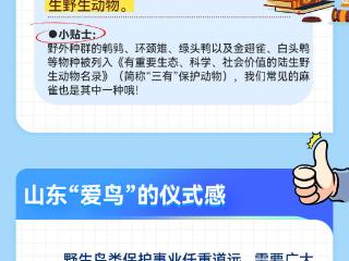 一图读懂|守护蓝天精灵，这些保护鸟类的法律知识一定要知道