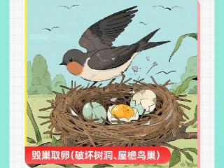 一图读懂|守护蓝天精灵，非法捕猎“雀”实不可取