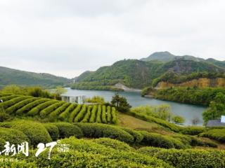 全国文明村镇 | 都匀市毛尖镇坪阳村：产业兴旺促乡村更和美
