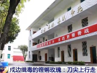 铿锵玫瑰 走进缉毒女民警任莎莎的故事