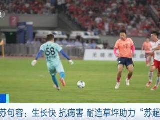 生长快 抗病害！江苏句容耐造草坪在“苏超”火出圈