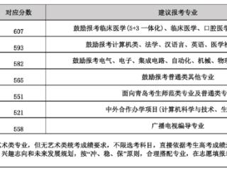 青岛大学2025在鲁报考建议：607分鼓励报考临床医学等专业