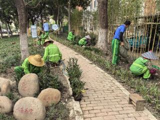 淞潭社区：共享廉圃小阵地，激活治理大效能
