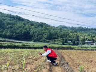 人保财险贵州安顺西秀支公司：贴心服务进乡村 验标科普两不误